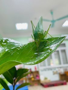 ✅Tổng hợp các hoạt động của cô và trẻ tháng 9✅