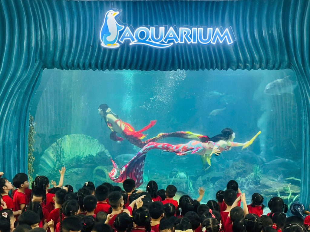 🌊🐠 KHÁM PHÁ THỦY CUNG – HÀNH TRÌNH KỲ THÚ DƯỚI LÒNG ĐẠI DƯƠNG 🐟🦈